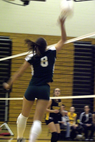 East Brunswick Volleyball